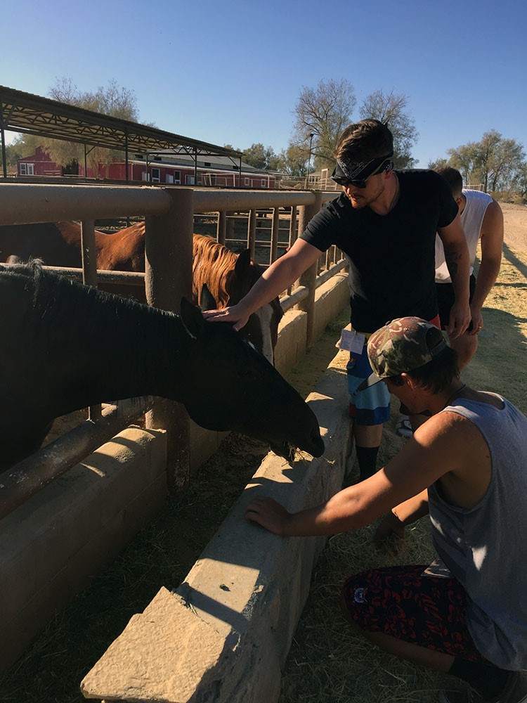 Teen Prescription Drug AbuseSussex VA